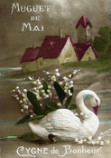 Cygne &eacute;l&eacute;gant et muguet en fleurs